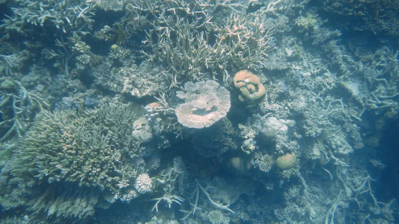 Oxygen is draining out of the world's water