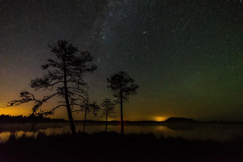 The best sky in years arrives on 12 August